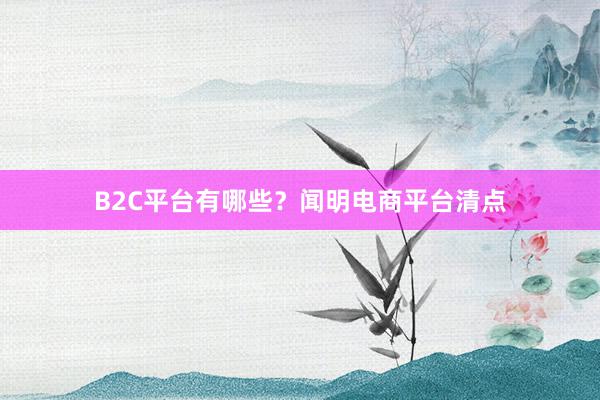 B2C平台有哪些？闻明电商平台清点